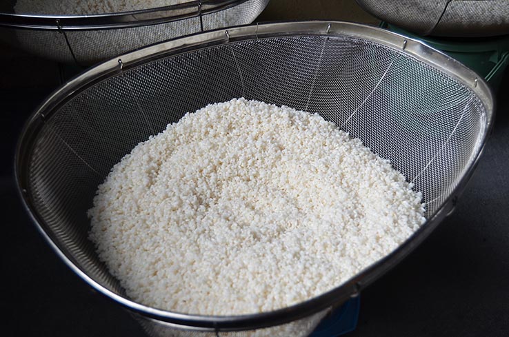 麹づくりワークショップ